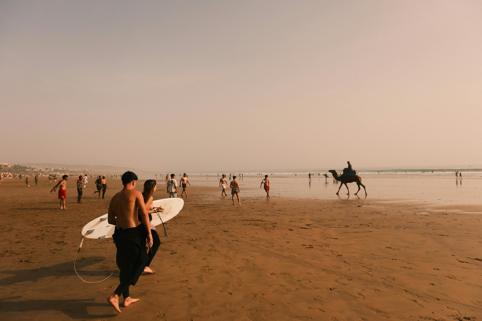 Gallery People enjoy a sunny day at the beach with surfing and camel riding.